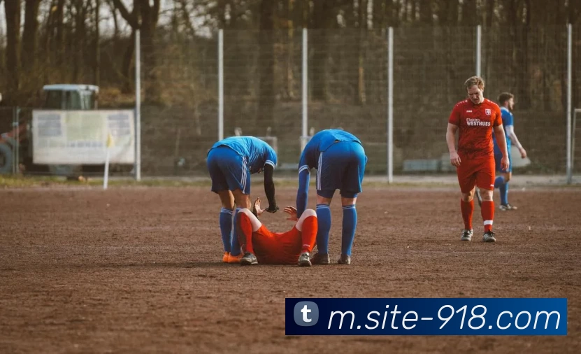 App Interface Preview